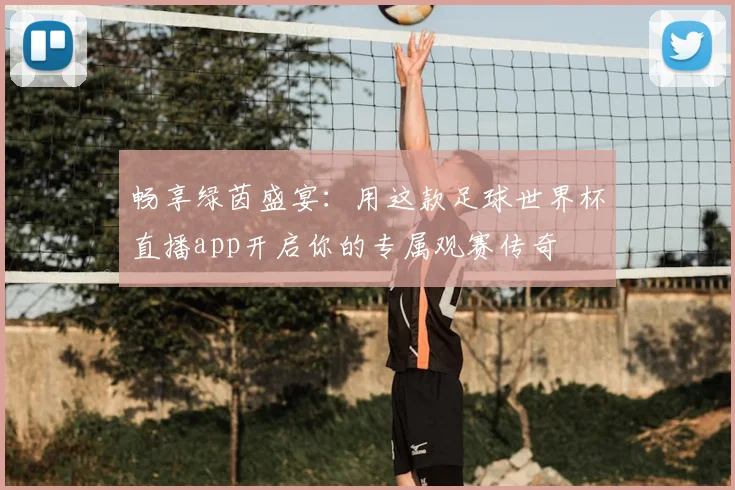 畅享绿茵盛宴：用这款足球世界杯直播app开启你的专属观赛传奇
